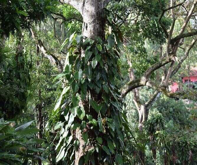 پانسیون Micklefield Bungalow