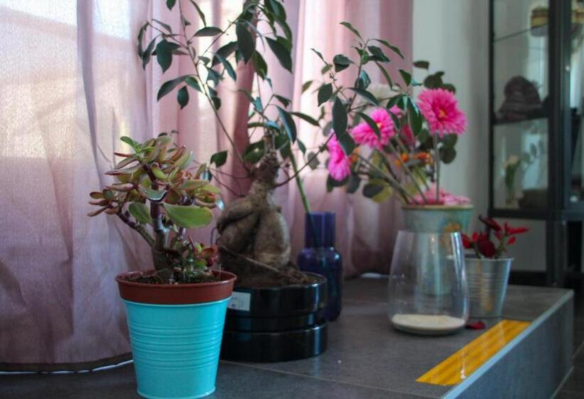 פנסיון Namasté   Ayurveda & Benessere