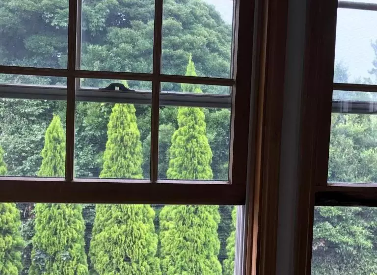 پانسیون Guesthouse Irago