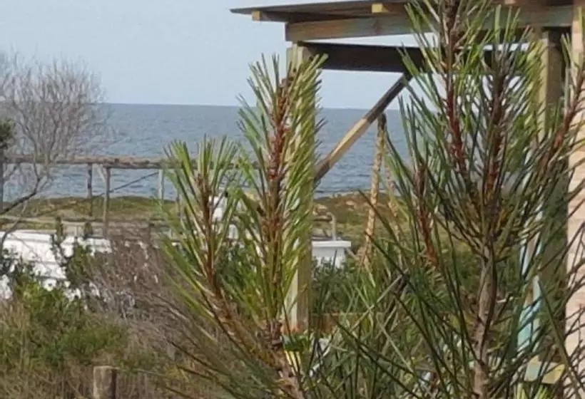 ユースホステル Casita Picaflor