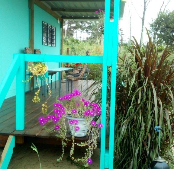 Hostel Casita Picaflor