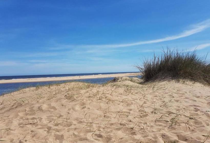 Hostel Casita Picaflor