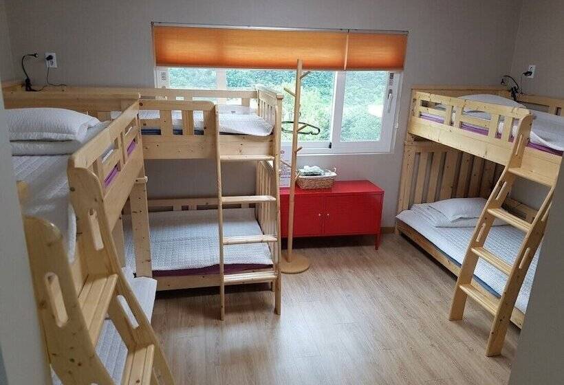 Pensione Dodam Guesthouse   Hostel