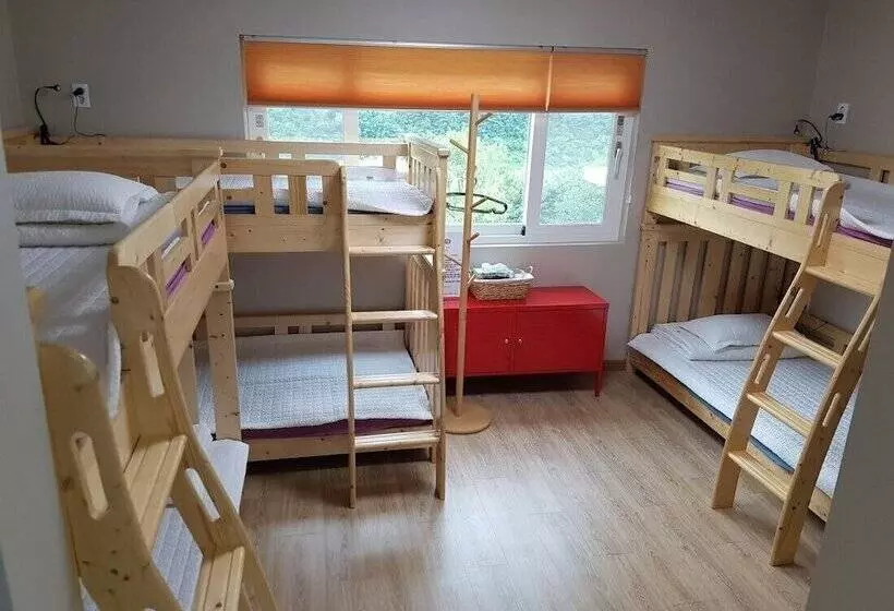 ペンション Dodam Guesthouse   Hostel