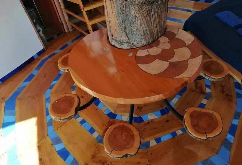 پانسیون Hostal Las Olas