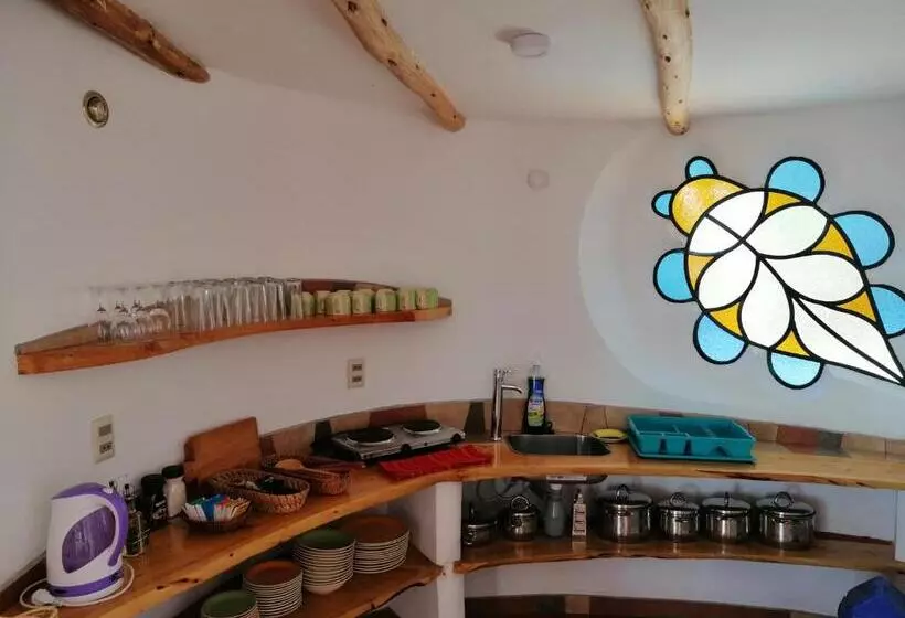 پانسیون Hostal Las Olas