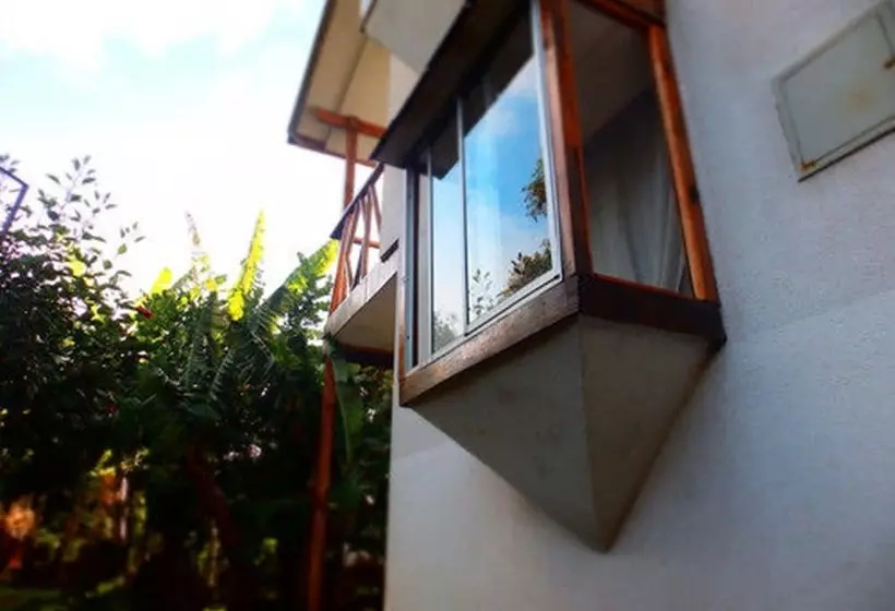 ペンション Hostal Marari   Hostel