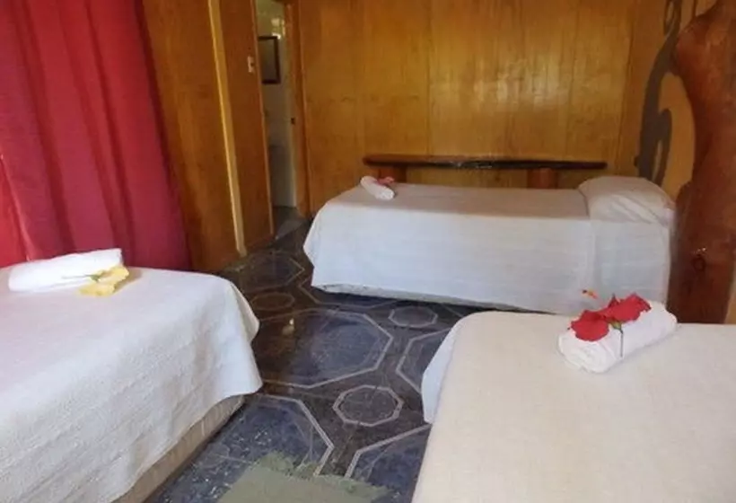 ペンション Hostal Marari   Hostel
