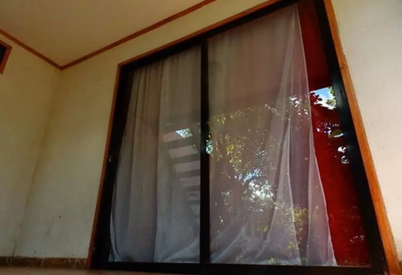 ペンション Hostal Marari   Hostel