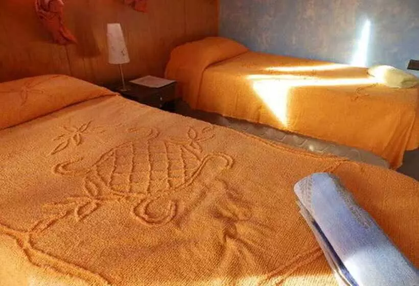 ペンション Hostal Marari   Hostel