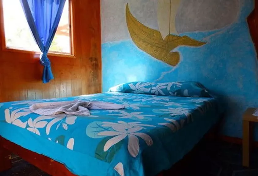 ペンション Hostal Marari   Hostel