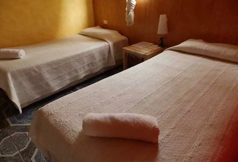 ペンション Hostal Marari   Hostel