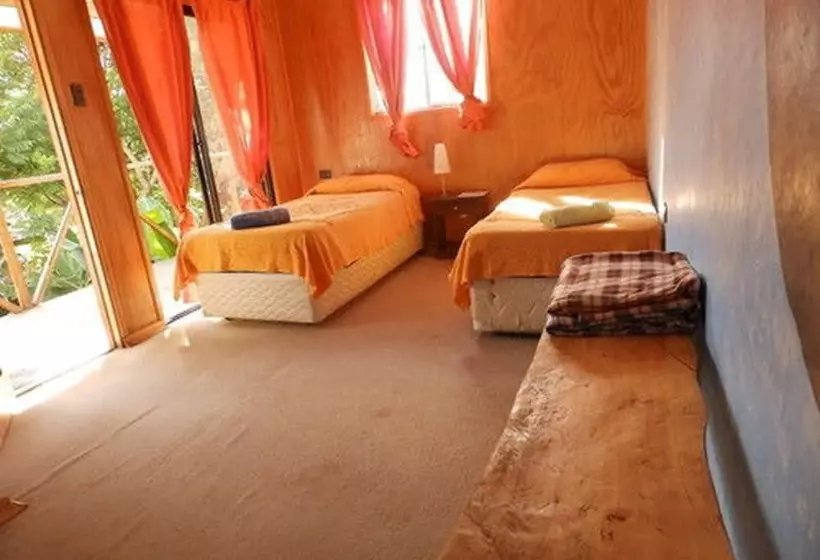 ペンション Hostal Marari   Hostel