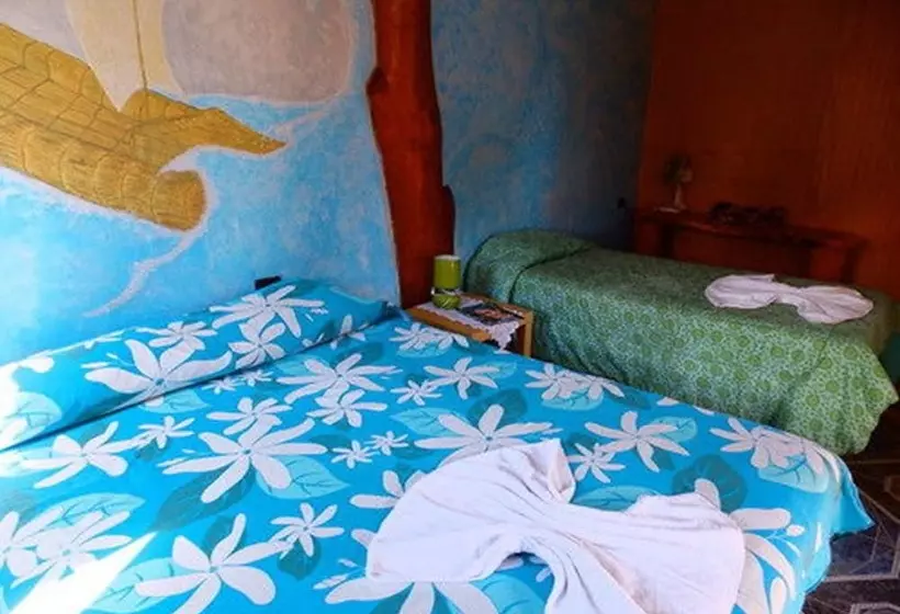 ペンション Hostal Marari   Hostel