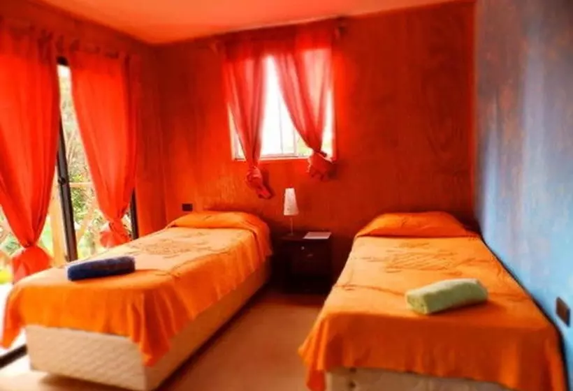 ペンション Hostal Marari   Hostel