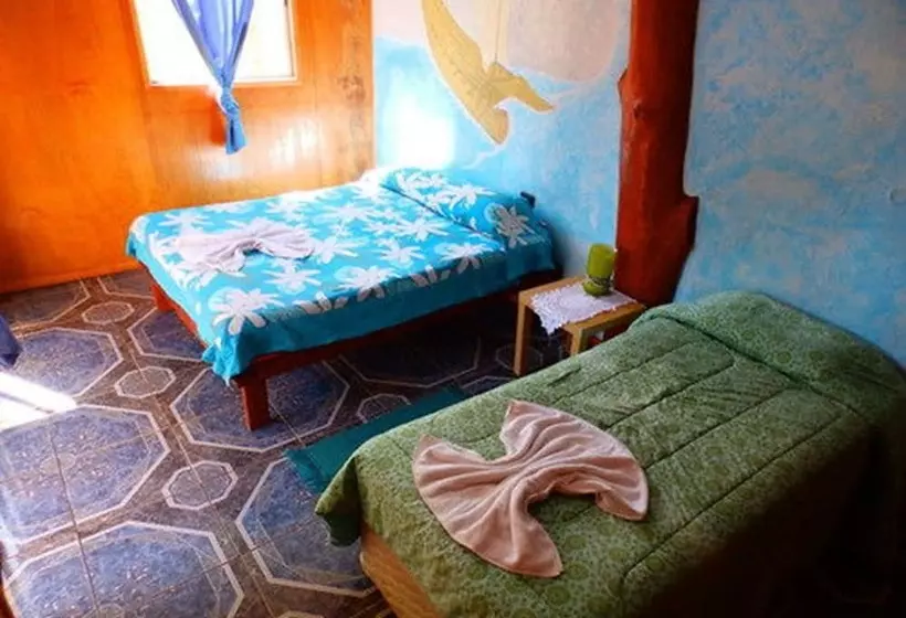 ペンション Hostal Marari   Hostel