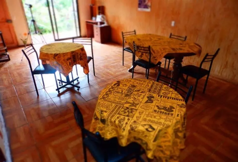 ペンション Hostal Marari   Hostel