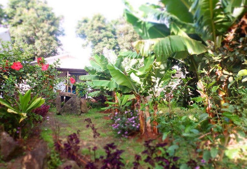 پانسیون Hostal Marari   Hostel