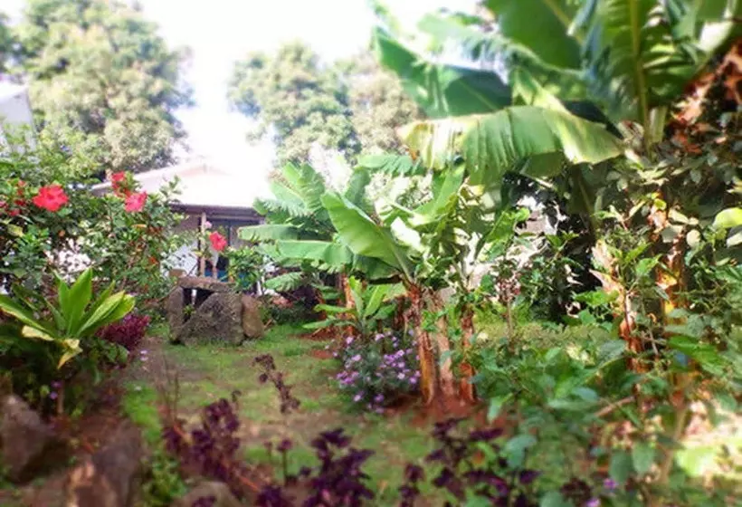 ペンション Hostal Marari   Hostel