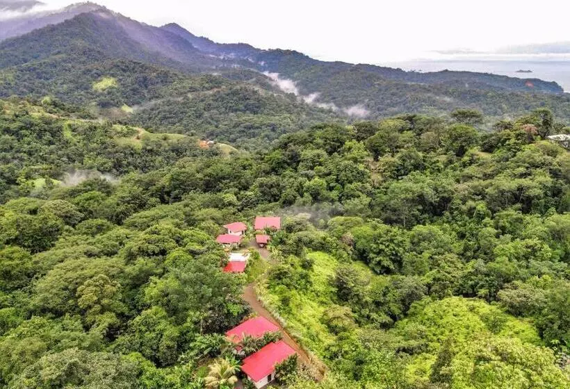 تختخواب و صبحانه Nature's Edge Boutique