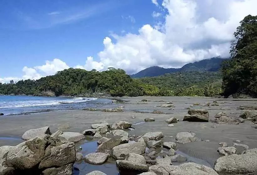 تختخواب و صبحانه Nature's Edge Boutique