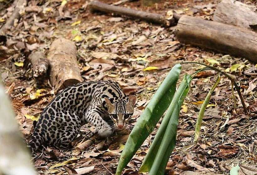 צימר Nature's Edge Boutique