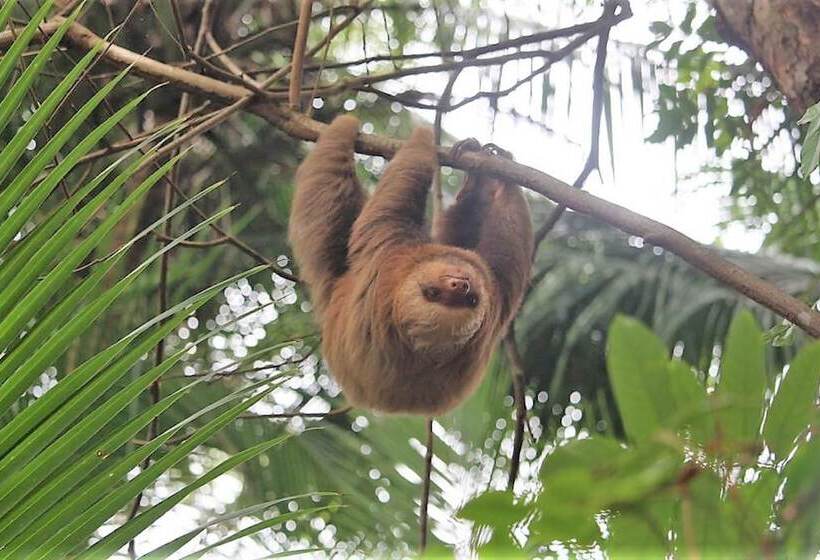 צימר Nature's Edge Boutique