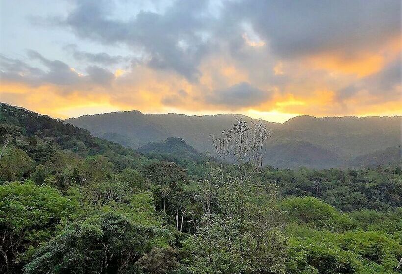 צימר Nature's Edge Boutique