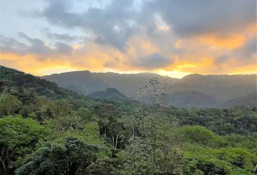 تختخواب و صبحانه Nature's Edge Boutique