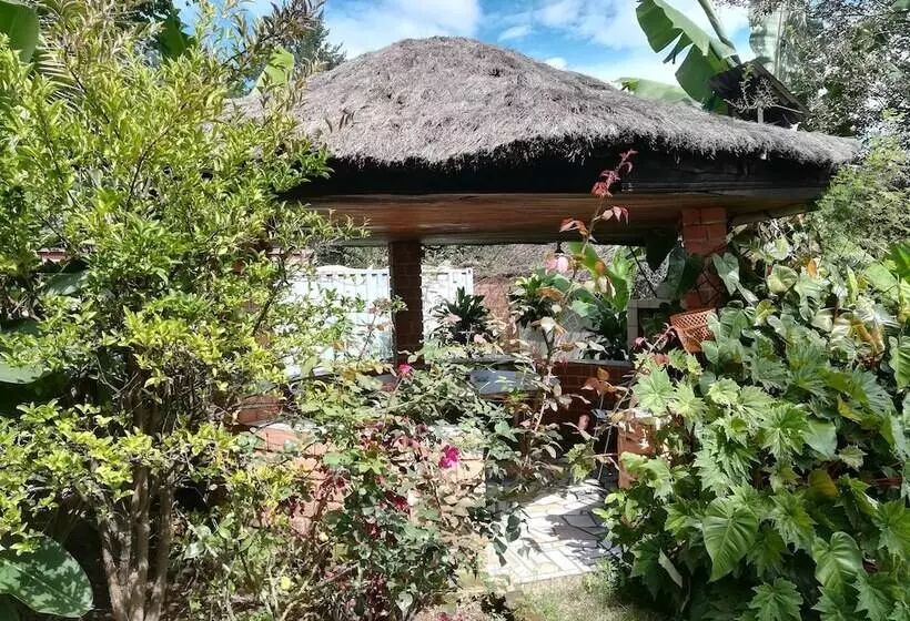 پانسیون Chez Jeanne Chambre D'hôte