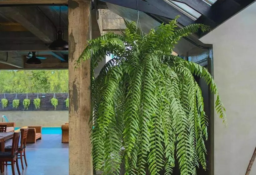 Majatalo Goodhope Villa