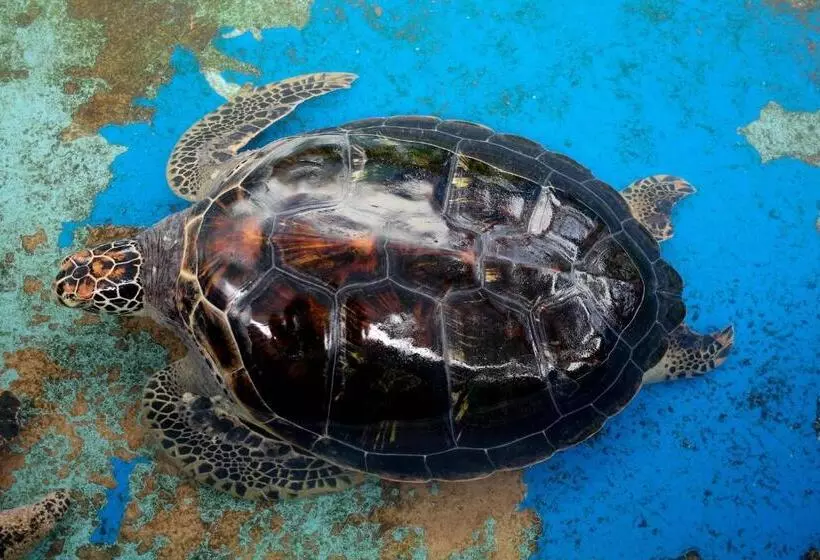 Majatalo Goodhope Villa