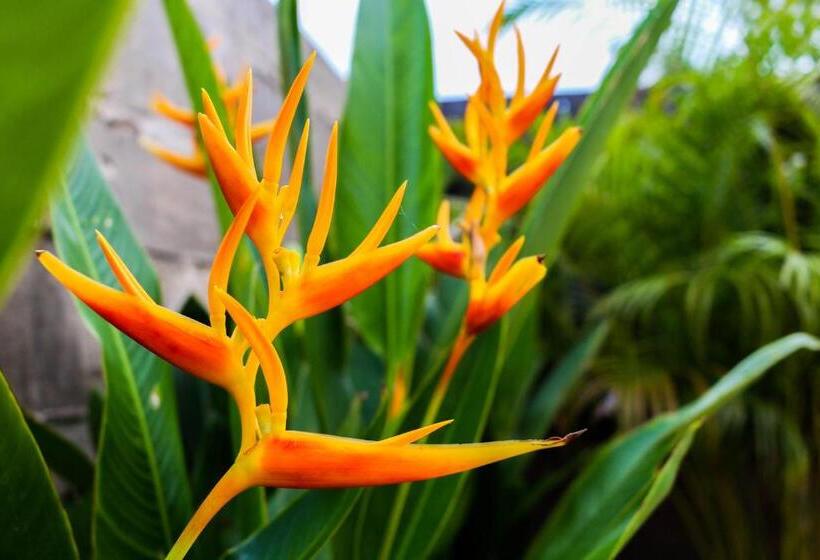 Пансион Goodhope Villa