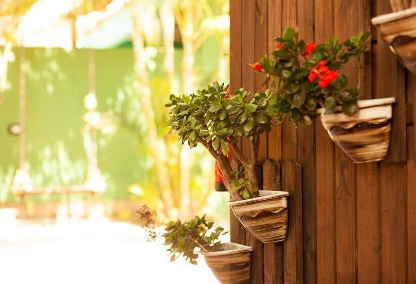 پانسیون Recanto Do Sossego