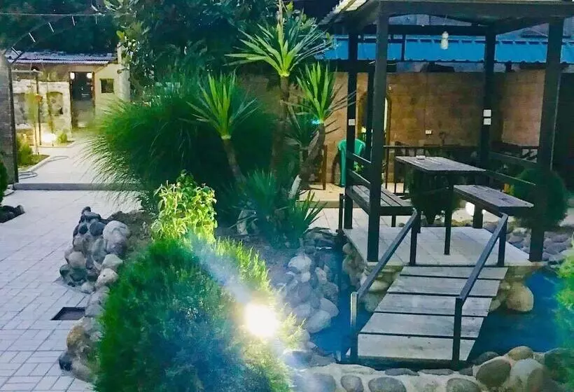 پانسیون City