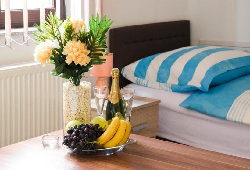 پانسیون Guesthouse Vila Puzic