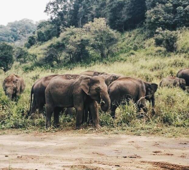 پانسیون Kumari Guest House