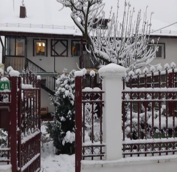 بنسيون Vila Cu Flori
