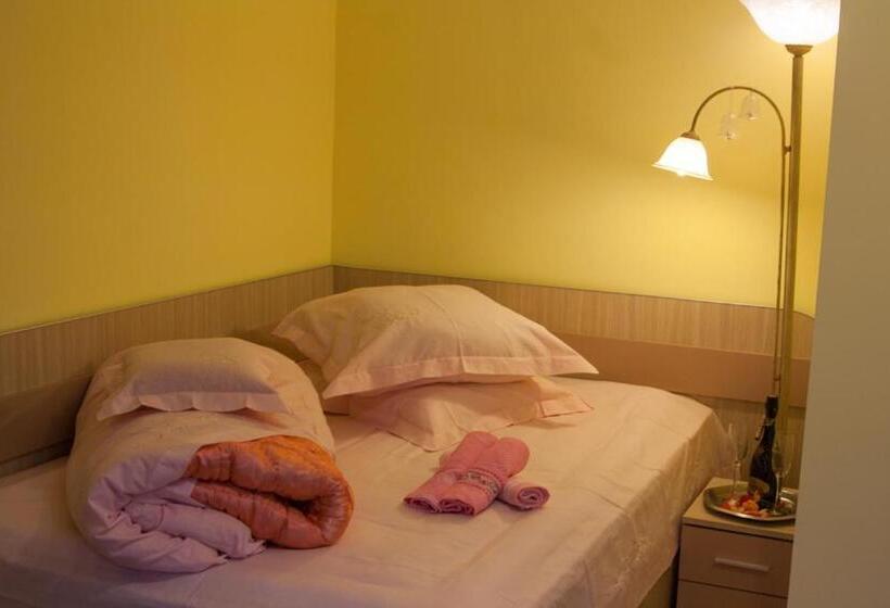 بنسيون Vila Cu Flori