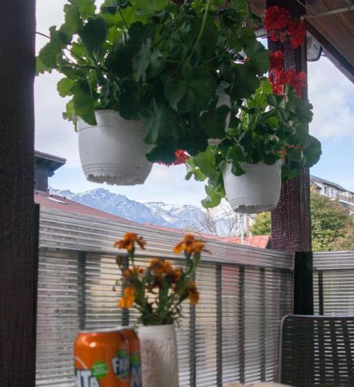 بنسيون Vila Cu Flori