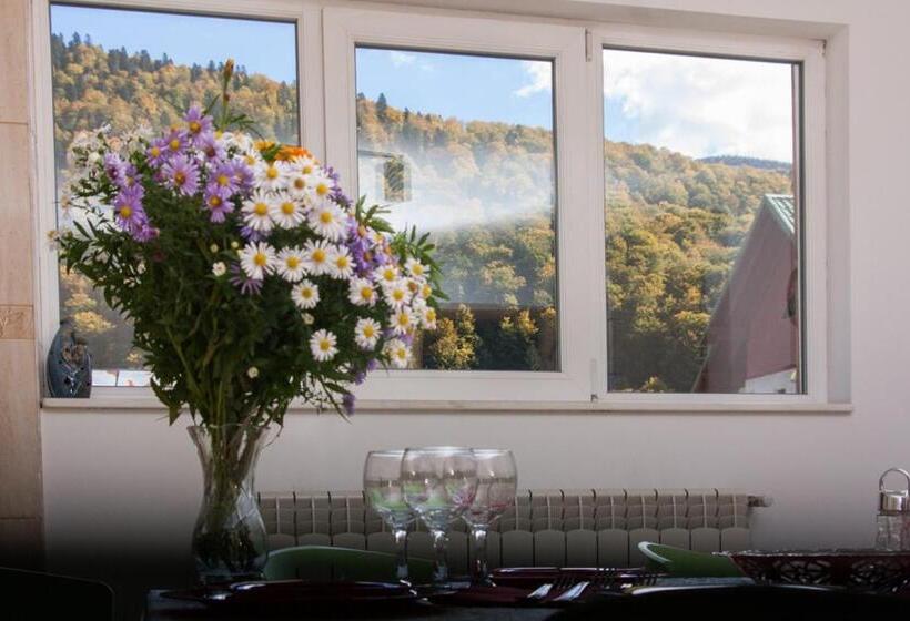 بنسيون Vila Cu Flori