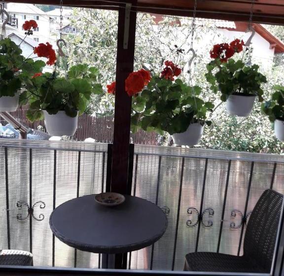 بنسيون Vila Cu Flori