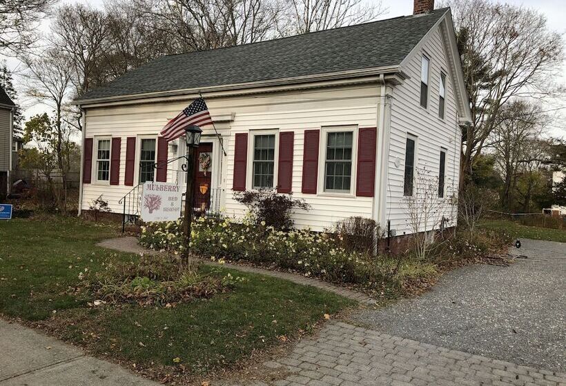 Mulberry Bed & Breakfast