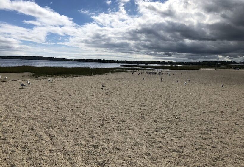 Mulberry Bed & Breakfast