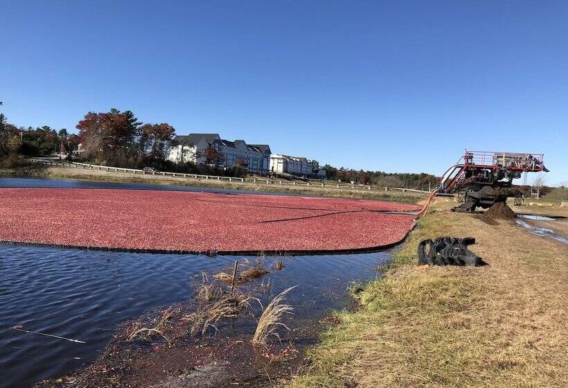 Mulberry Bed & Breakfast
