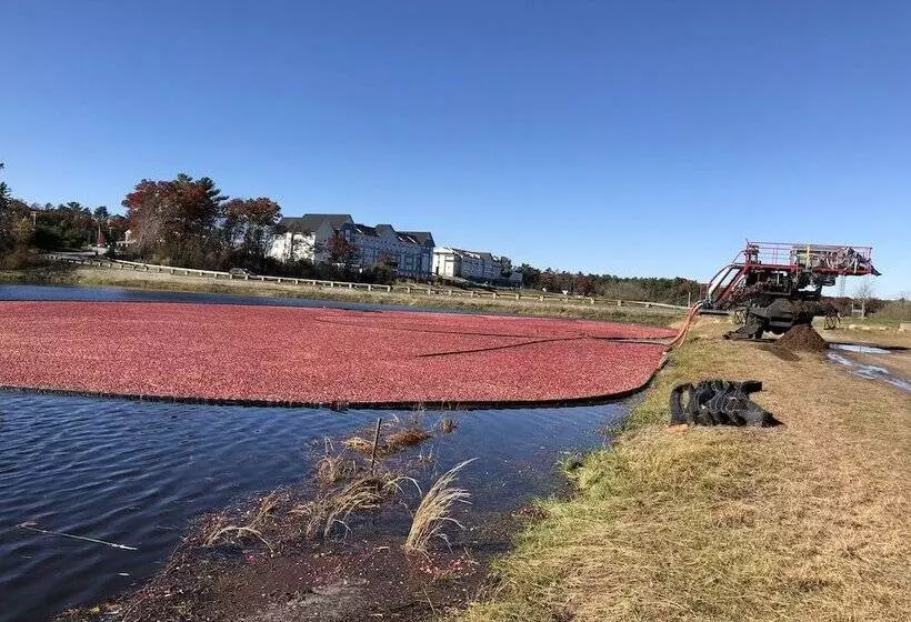 Mulberry Bed & Breakfast