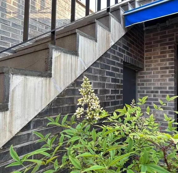 پانسیون Guesthouse Dalggume