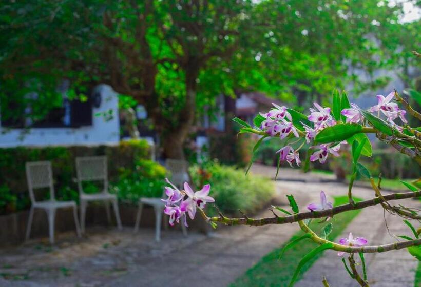 호스텔 Pousada Taverna Do Golf