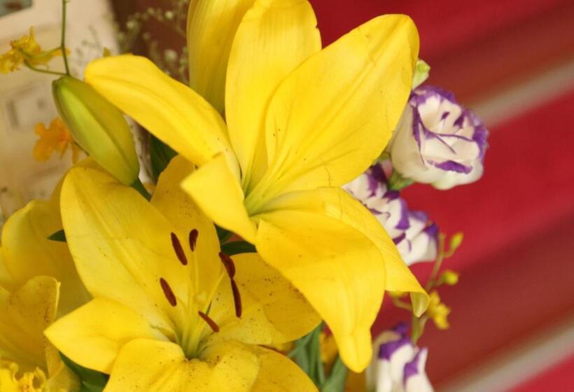 ユースホステル Suimeiso