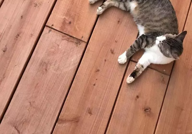 Majatalo Guesthouse Asibina